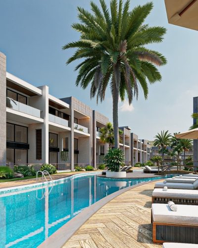 پروژه نخل در قبرس شمالی